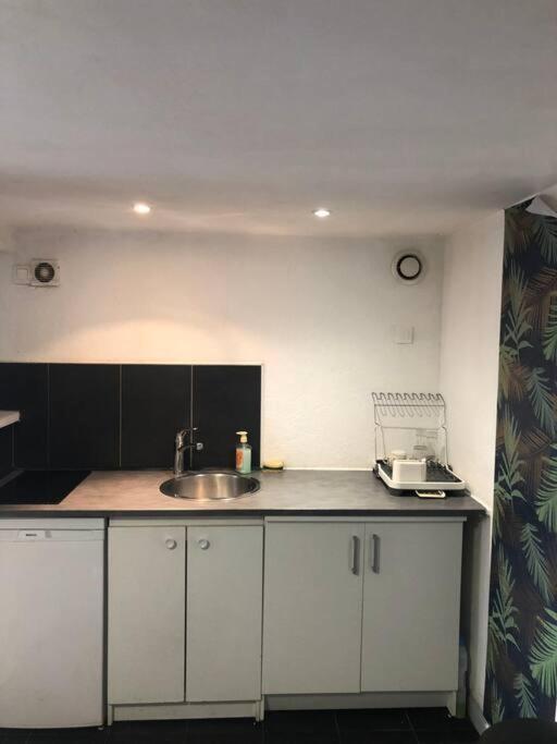 Logement Appartement Bourget 勒布尔热 外观 照片